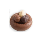 Schokoladennest mit feinsten Pralinen 100g (BIO)